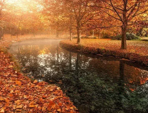 El otoño que nos lleva