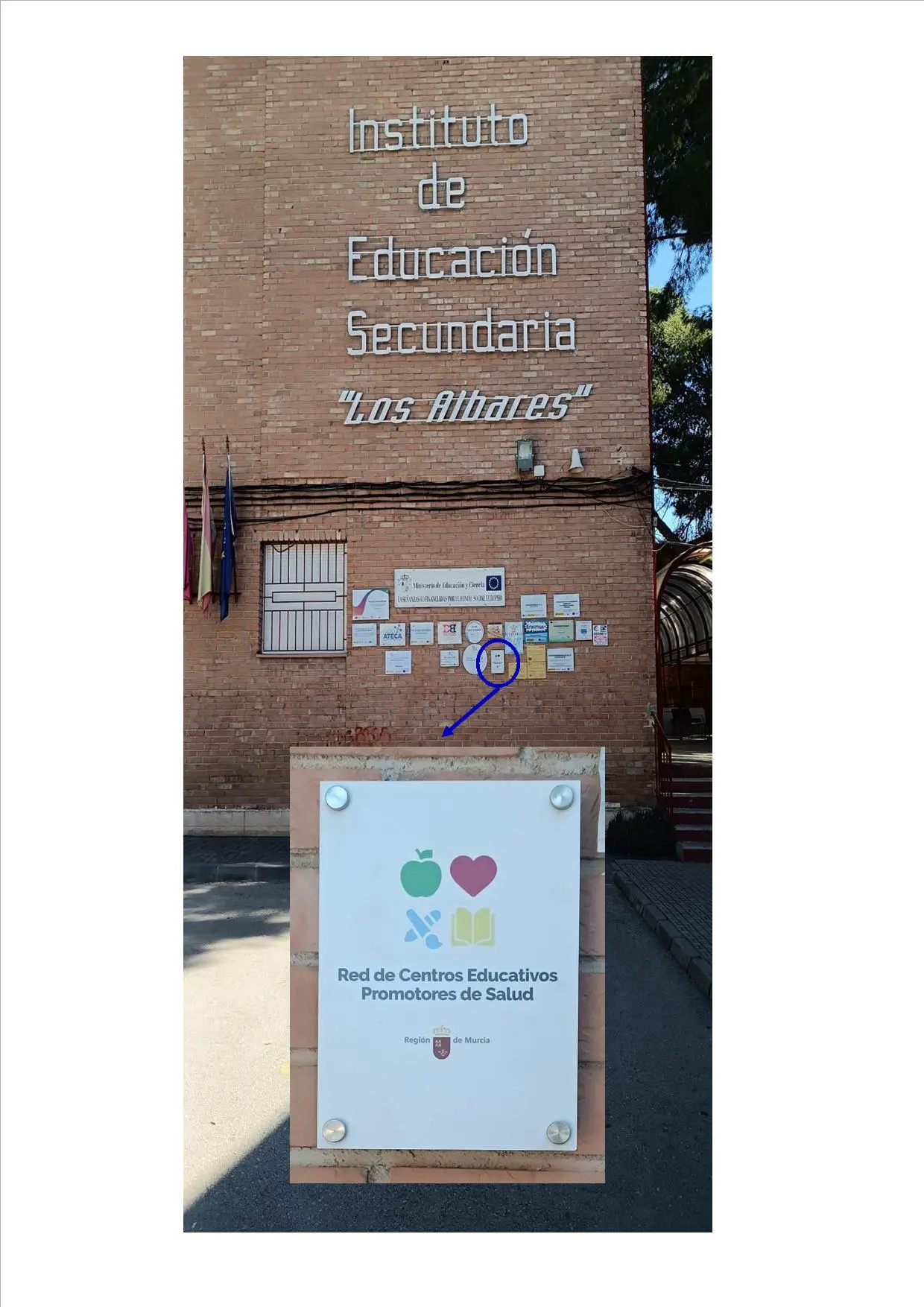 promocion de la salud1